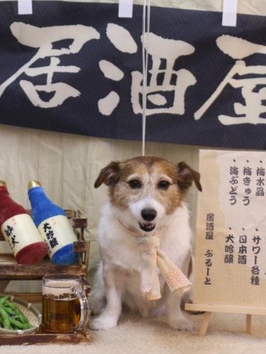 20240611こはるちゃん